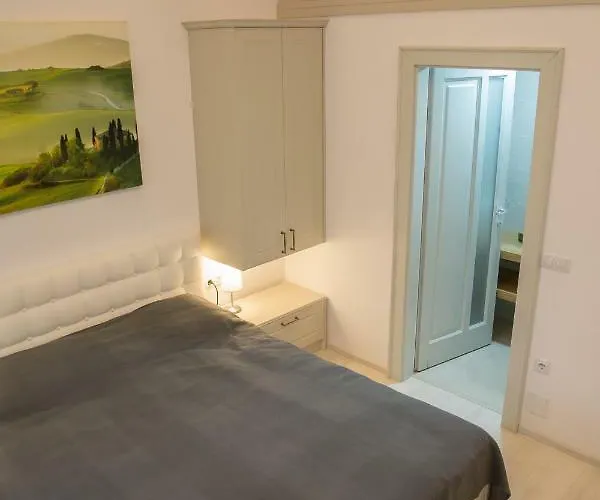 Sunny November 브라쇼브